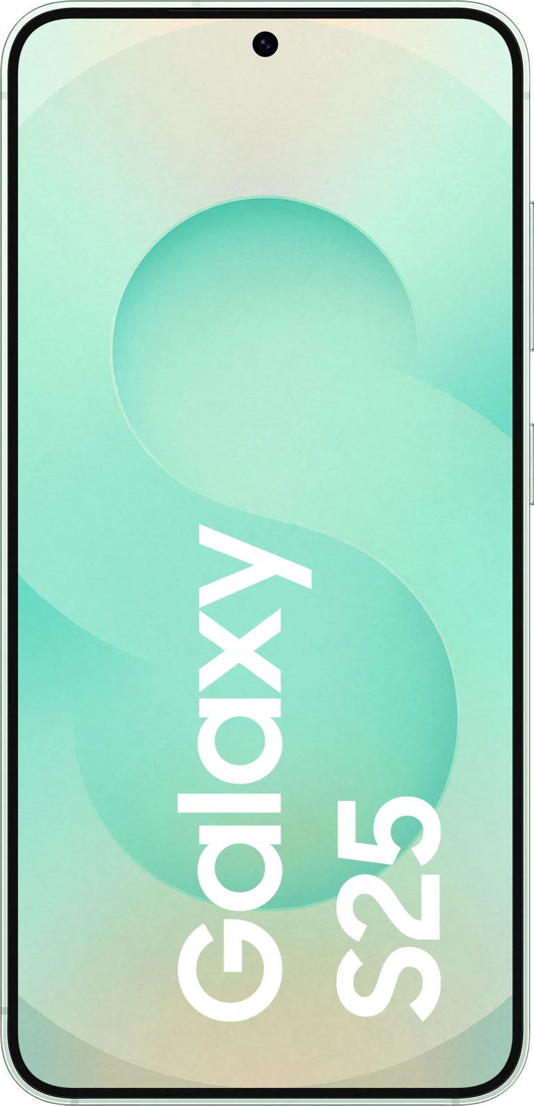 Samsung Galaxy S25 128 GB Mint